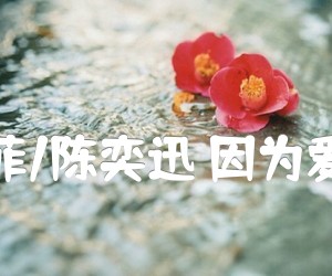 王菲/陈奕迅 因为爱情吉他谱_王菲/陈奕迅_原版弹唱吉他简谱