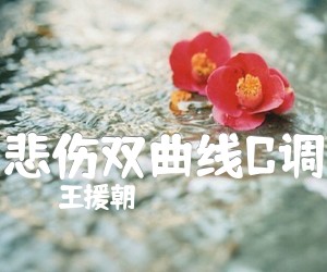 悲伤双曲线C调吉他谱_王援朝_C调_原版弹唱吉他简谱