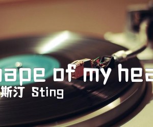 Shape of my heart吉他谱_斯汀（Sting）_原版指弹吉他简谱