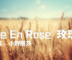 La Vie En Rose（玫瑰人生）吉他谱_皮雅芙、小野丽莎_C调_原版指弹吉他简谱