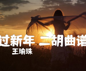 过新年 二胡曲谱吉他谱_王瑜珠_B调_原版弹唱吉他简谱