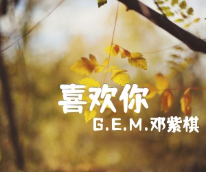 喜欢你吉他谱_G E M 邓紫棋_邓紫棋_简谱歌词