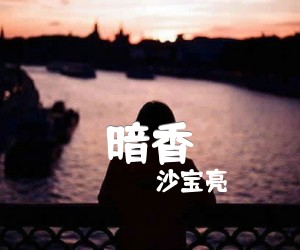 暗香吉他谱_沙宝亮_D调_原版指弹吉他简谱