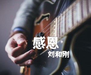 感恩吉他谱_刘和刚_G调_原版弹唱吉他简谱