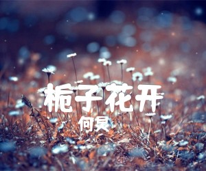 栀子花开吉他谱_何炅_C调_原版指弹吉他简谱