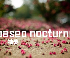 paseo nocturno吉他谱_独奏_原版指弹吉他简谱